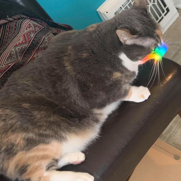 Meet your Posher, Shellene - Picture 1 of 1